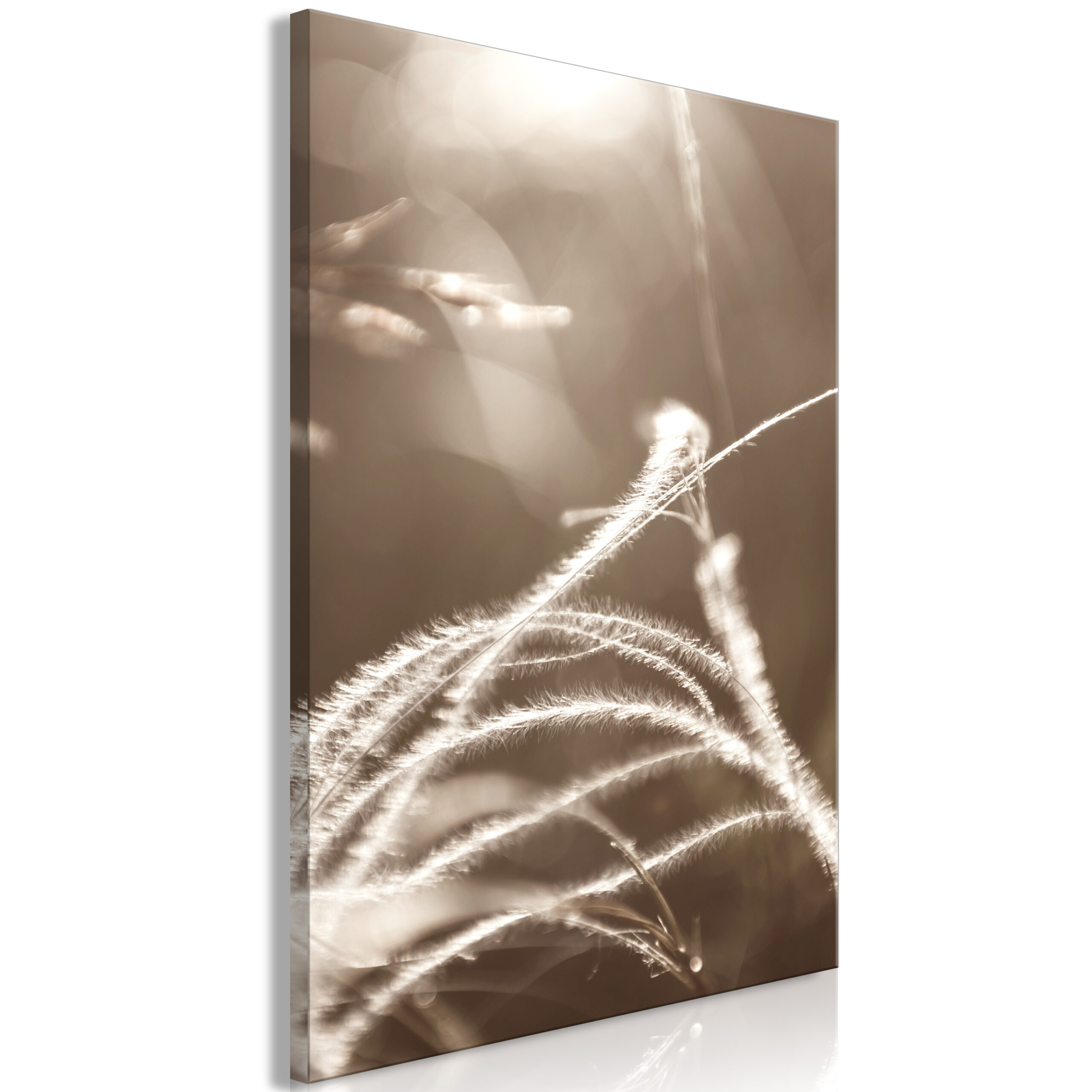 0cdba62b-f0fe-31dc-b618-a31f6619a769