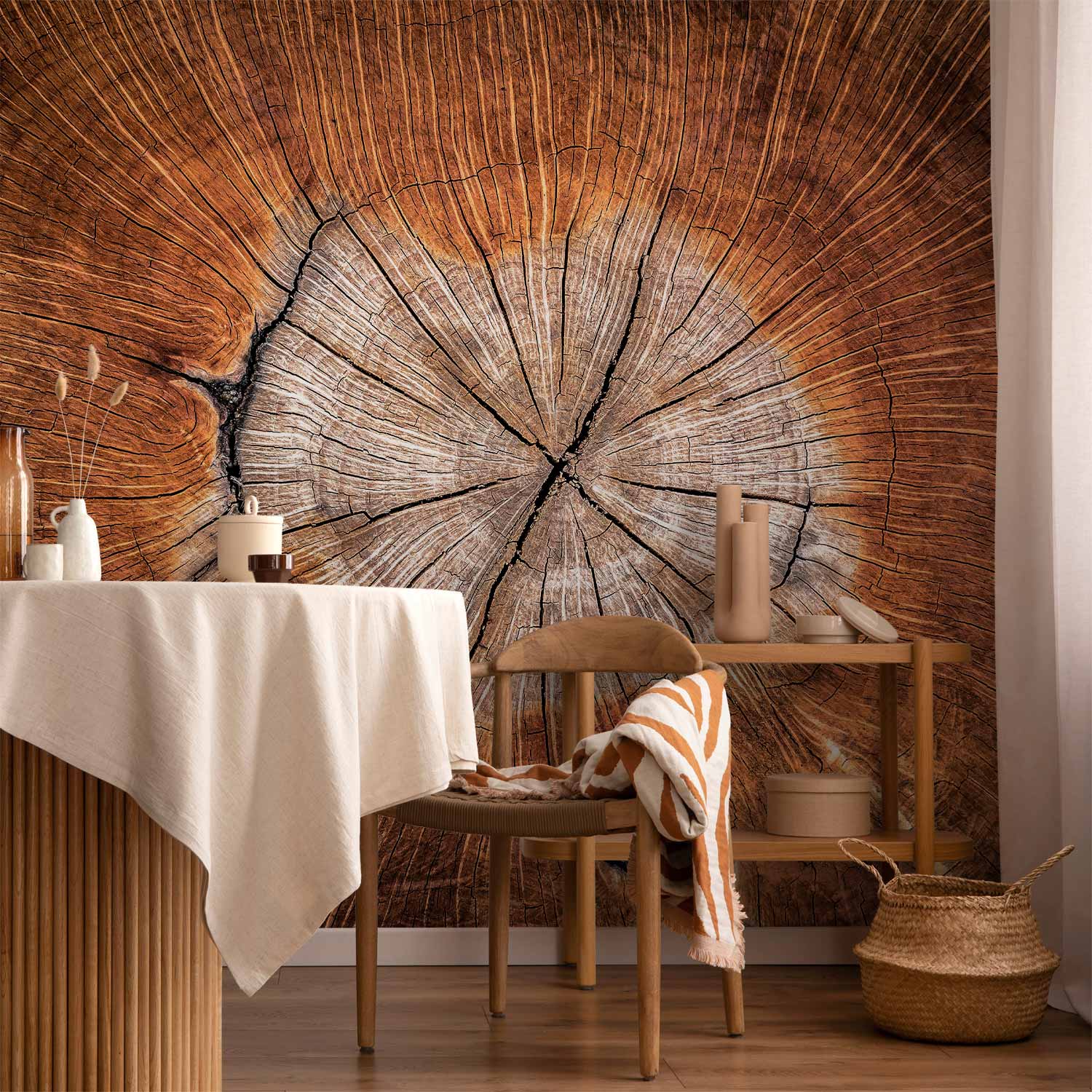 b-B-0062-a-a_ftw-drde-wiz1