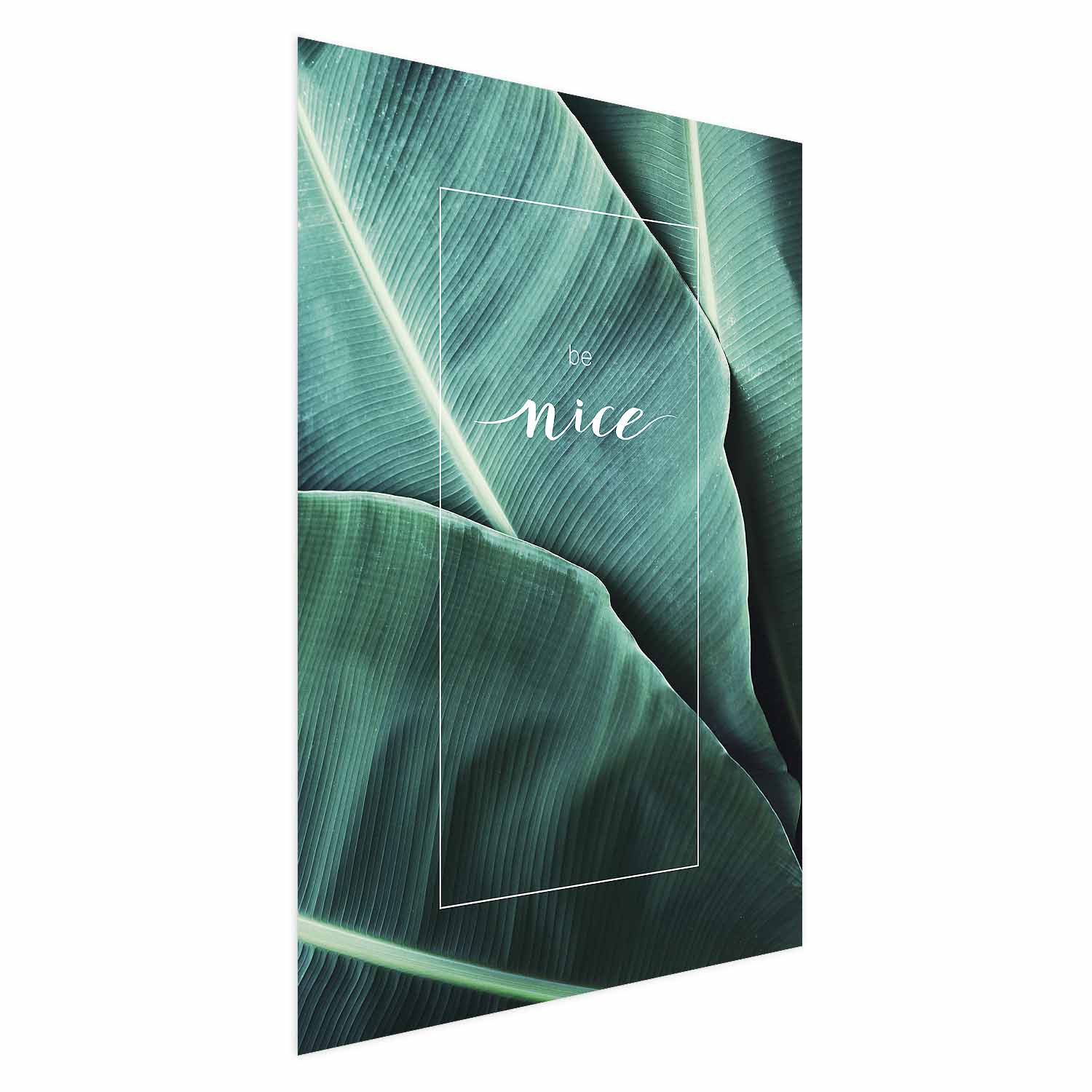 b-C-0270-ao-a_prp-osmr-ng2-br