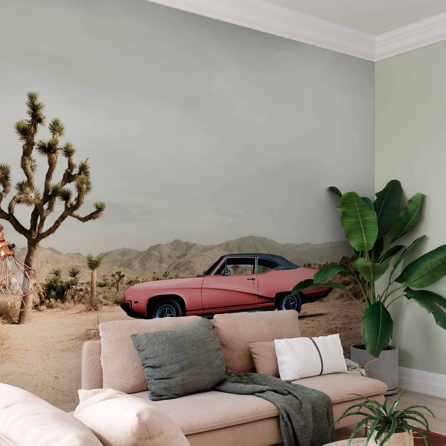 cbb8e748-918f-4264-8f56-72014bf28926